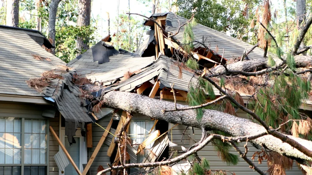 As your dedicated Winter Park wind damage claim lawyer, we’ve seen a pattern of deceptive insurance practices, including:
