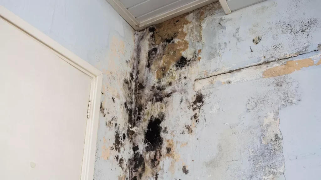 By working with Sanford mold damage claim lawyers, homeowners gain an advocate who ensures the insurance process is fair, efficient, and legally compliant.
