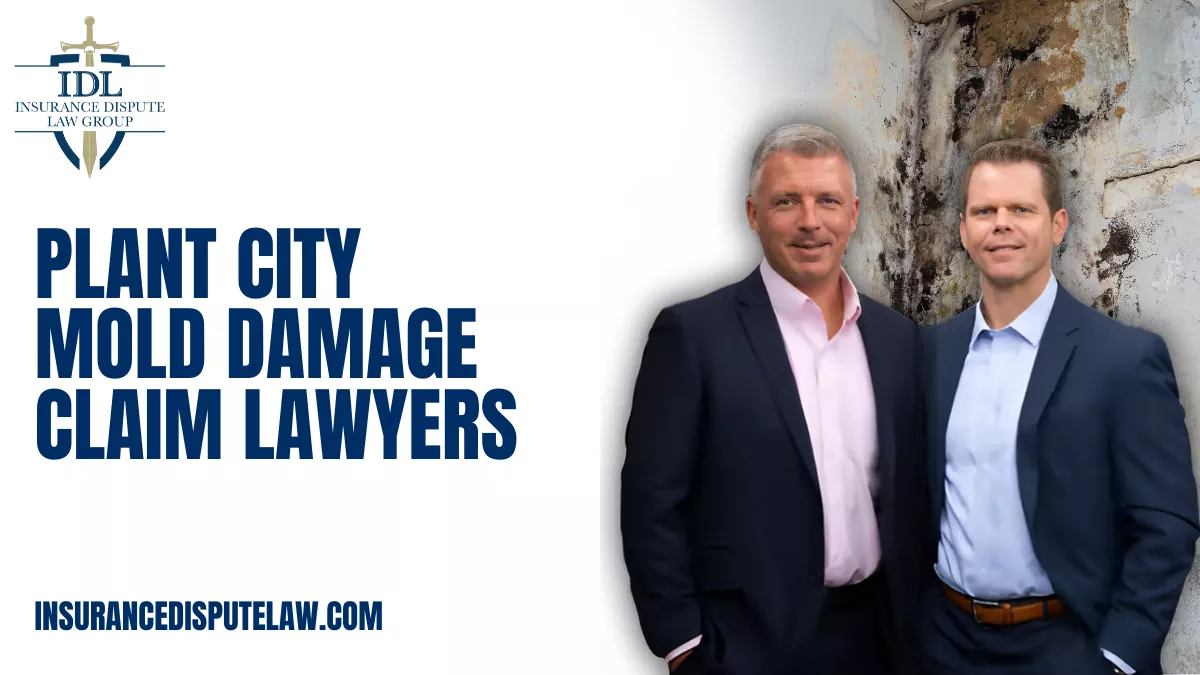 If you are dealing with mold damage in your home or business, securing experienced legal assistance is crucial. Plant City mold damage claim lawyers at Insurance Dispute Law Group are dedicated to helping property owners navigate complex insurance claims and recover the compensation they deserve. Mold damage can lead to significant health risks, structural issues, and financial burdens. Our team specializes in advocating for policyholders and ensuring that insurance companies honor their obligations.